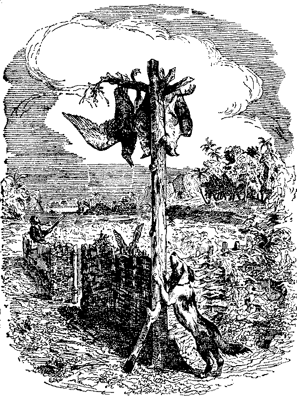 Жизнь и удивительные приключения Робинзона Крузо - i_028.png