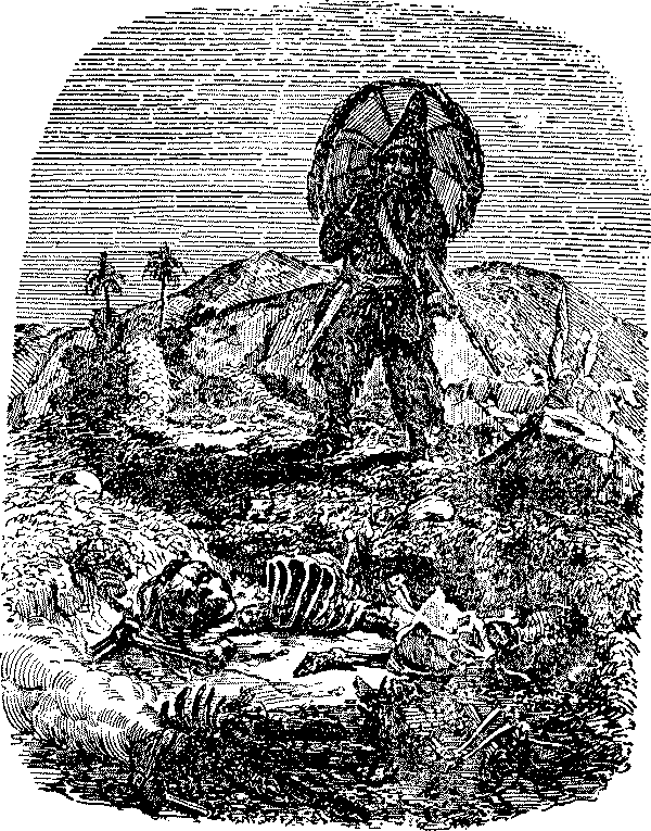 Жизнь и удивительные приключения Робинзона Крузо - i_042.png