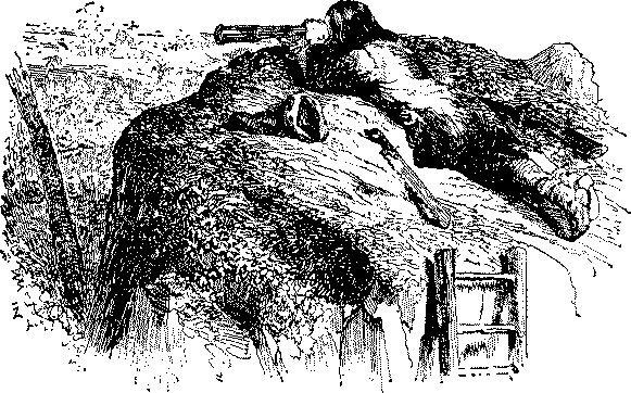 Жизнь и удивительные приключения Робинзона Крузо - i_046.png