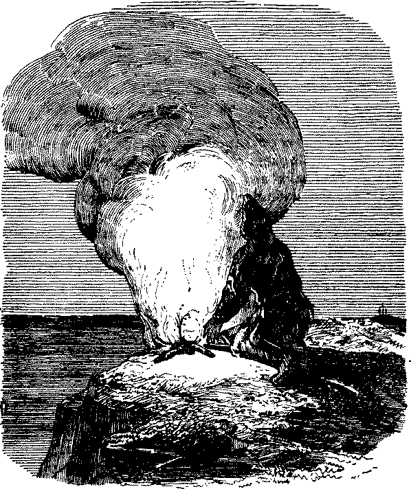 Жизнь и удивительные приключения Робинзона Крузо - i_047.png