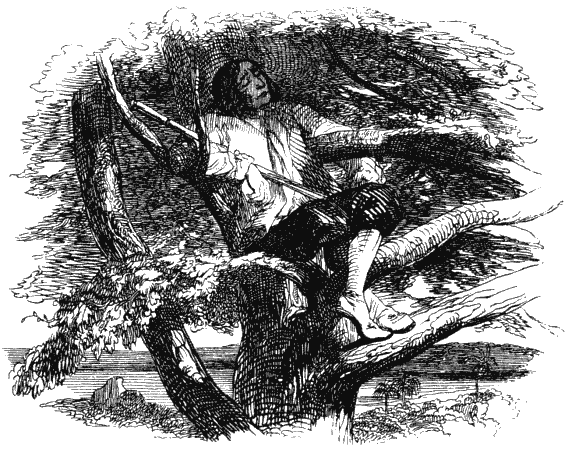 Робинзон Крузо - i_008.png