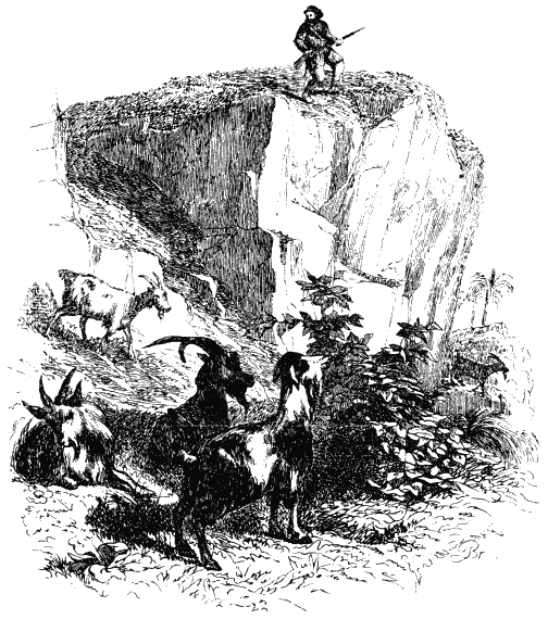 Робинзон Крузо - i_010.png