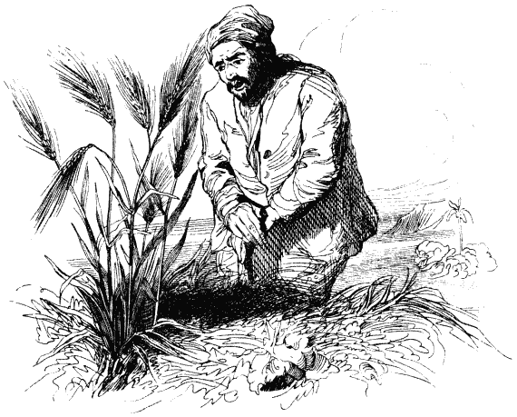 Робинзон Крузо - i_014.png