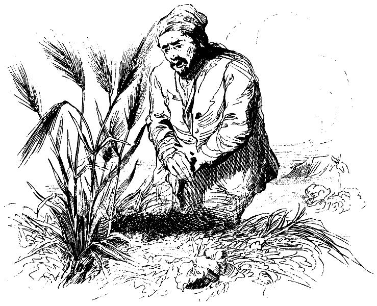 Детская библиотека. Том 62 - i_016.png