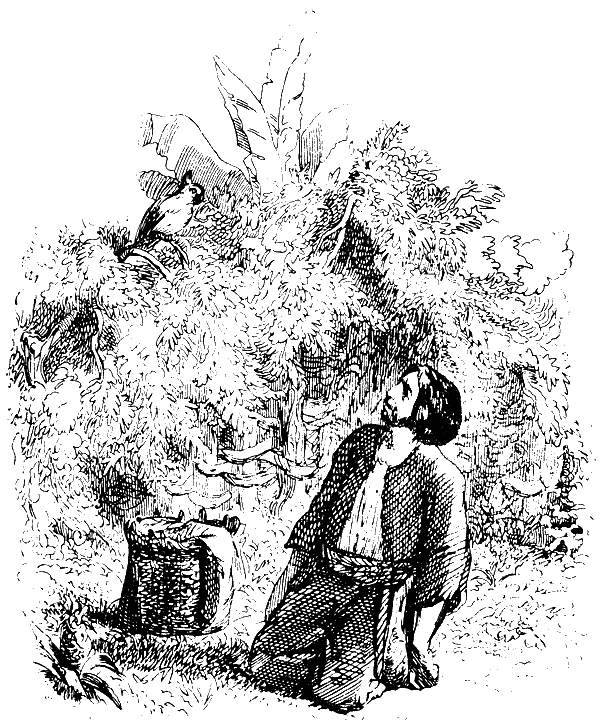 Детская библиотека. Том 62 - i_025.png