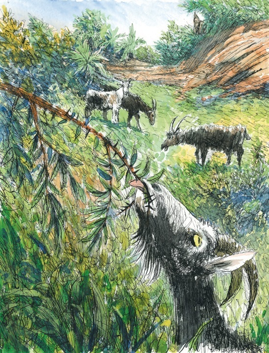 Робинзон Крузо - i_020.jpg