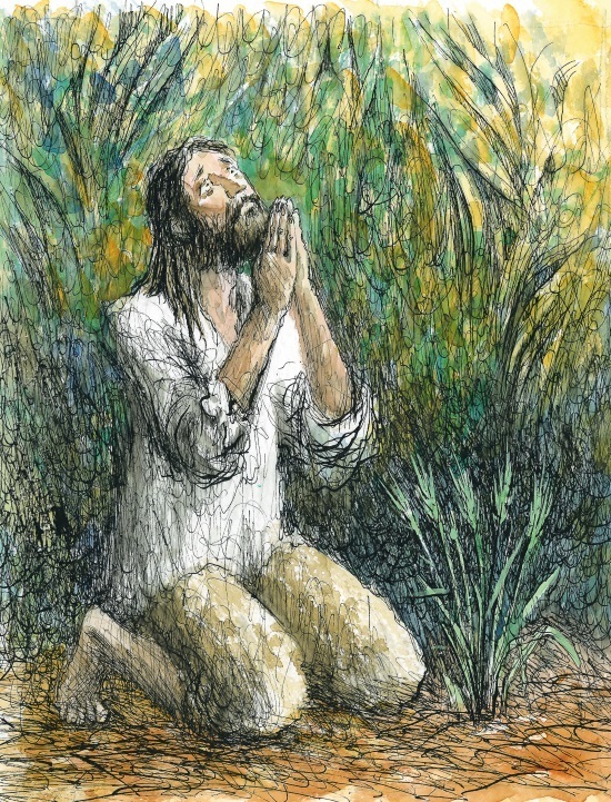 Робинзон Крузо - i_027.jpg