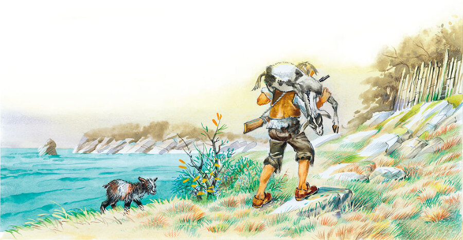 Робинзон Крузо. Жизнь и удивительные приключения - i_012.jpg