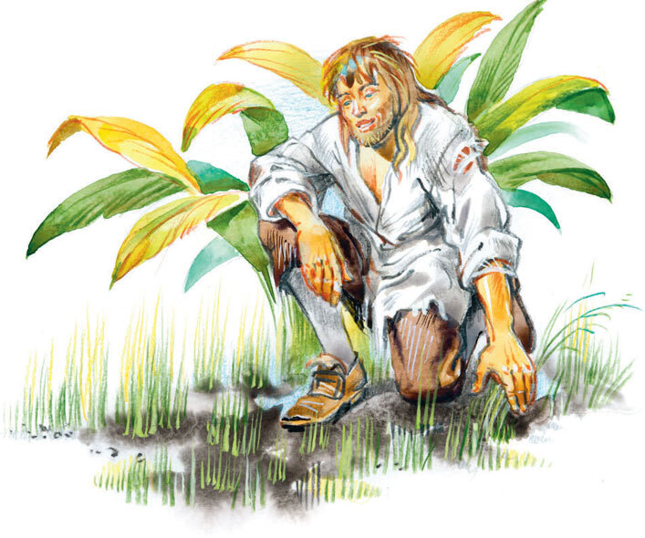 Робинзон Крузо. Жизнь и удивительные приключения - i_019.jpg