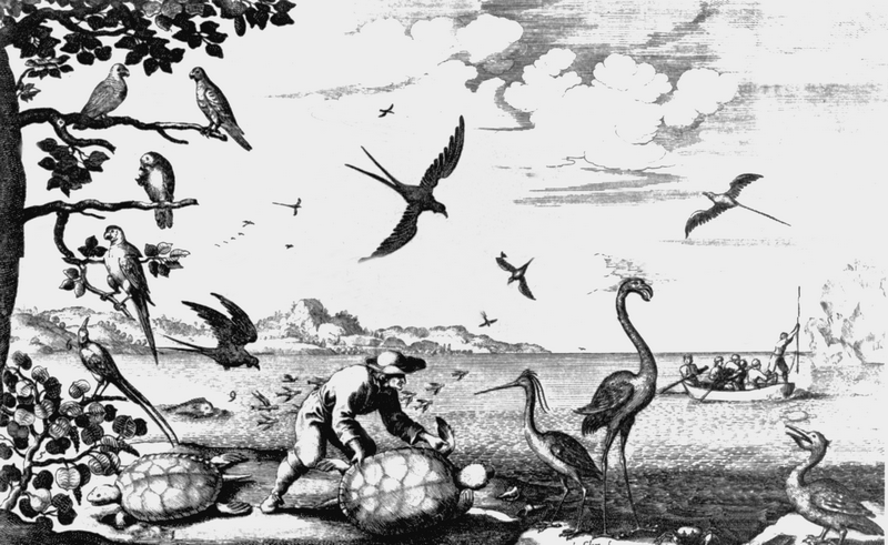 Пираты, корсары, флибустьеры, буканьеры. Книги 1-21 - i_018.png