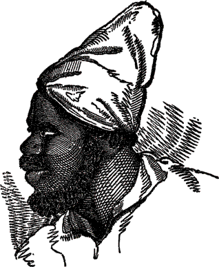 Пираты, корсары, флибустьеры, буканьеры. Книги 1-21 - i_426.png