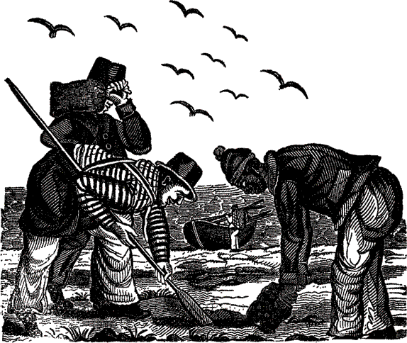 Пираты, корсары, флибустьеры, буканьеры. Книги 1-21 - i_452.png