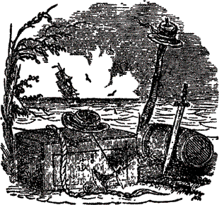 Пираты, корсары, флибустьеры, буканьеры. Книги 1-21 - i_453.png