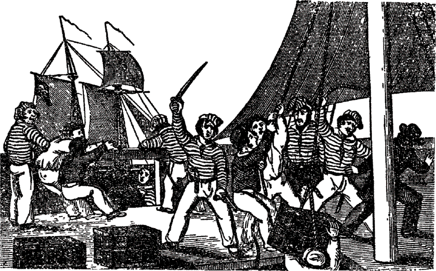 Пираты, корсары, флибустьеры, буканьеры. Книги 1-21 - i_454.png