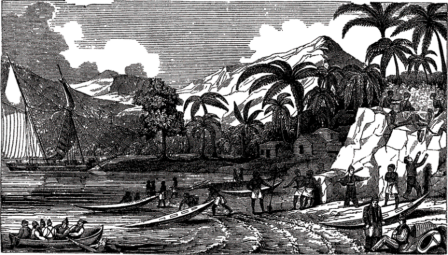 Пираты, корсары, флибустьеры, буканьеры. Книги 1-21 - i_455.png