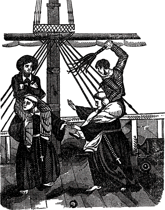 Пираты, корсары, флибустьеры, буканьеры. Книги 1-21 - i_472.png