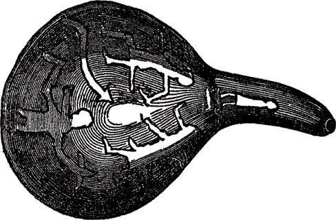 Пираты, корсары, флибустьеры, буканьеры. Книги 1-21 - i_476.png