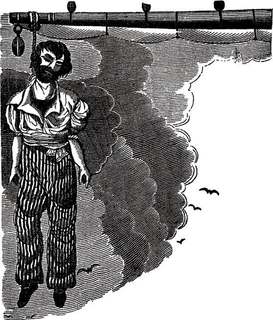 Пираты, корсары, флибустьеры, буканьеры. Книги 1-21 - i_482.png