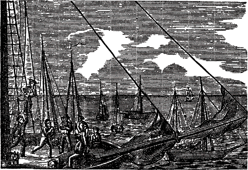 Пираты, корсары, флибустьеры, буканьеры. Книги 1-21 - i_483.png