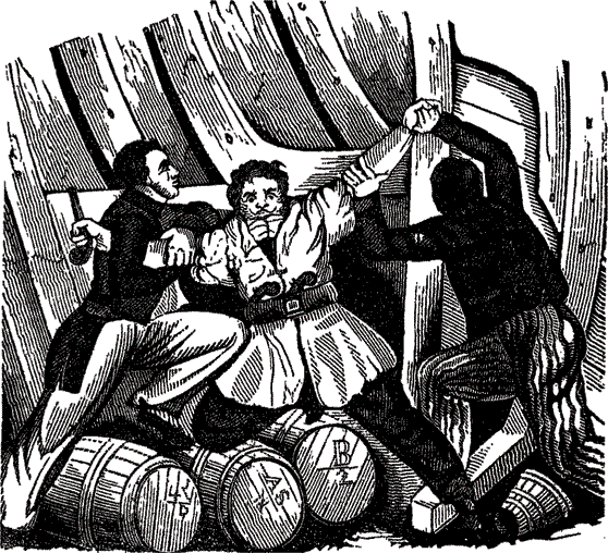 Пираты, корсары, флибустьеры, буканьеры. Книги 1-21 - i_490.png