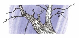 Двойной Джарет, или Синица в руках - i_013.jpg