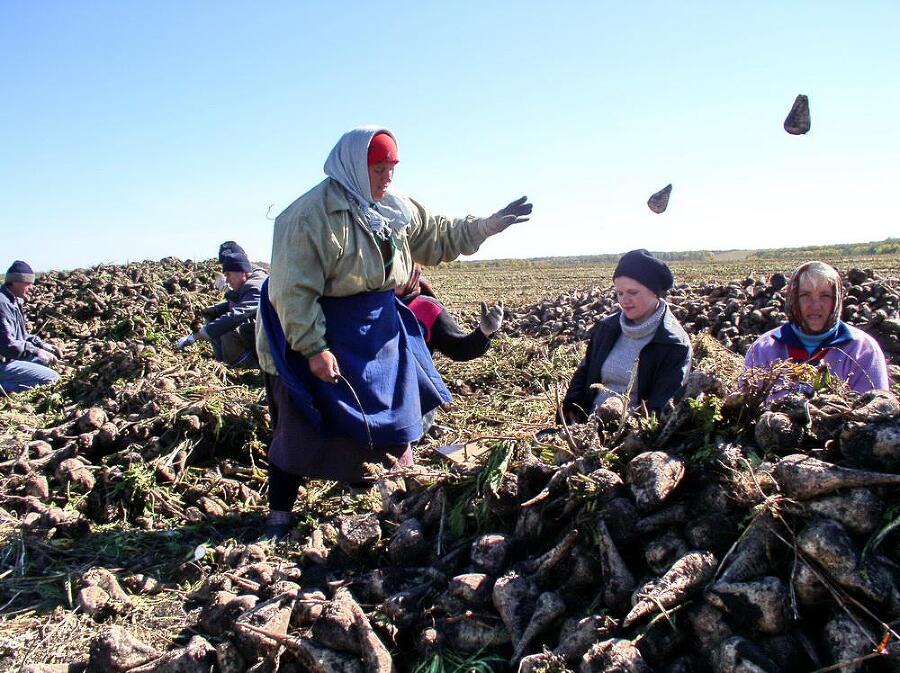 Карта русского неба - img_22.jpeg