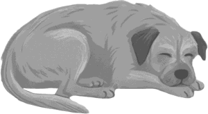 Очень плохие вдовы - i_001.png