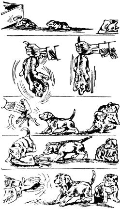 Слово о собаке - i_215.png