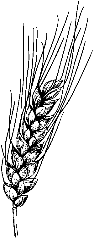 "Фантастика 2026-119". Компиляция. Книги 1-21 (СИ) - i_024.png