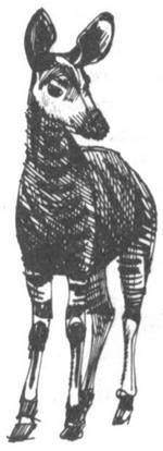 Царь зверей не лев - _167.jpg