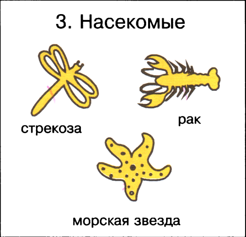 Я начинаю учиться. Выпуск 1 - image7.png