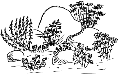 Дача. Что и как можно вырастить? - i_045.png