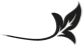 Сирена-маг. Книга 1. Кровь утопающих - i_002.png