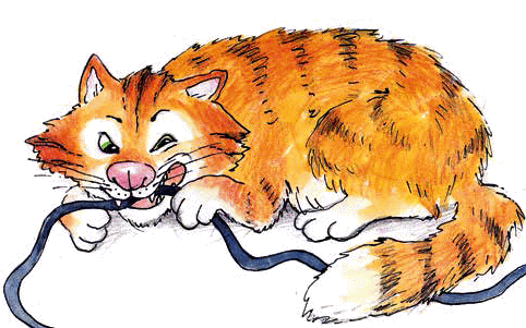 Разноцветные приключения Кузи - _049.png