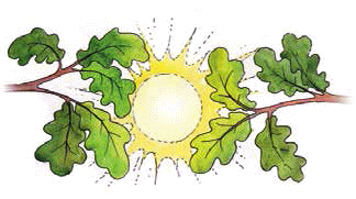 Разноцветные приключения Кузи - _057.png