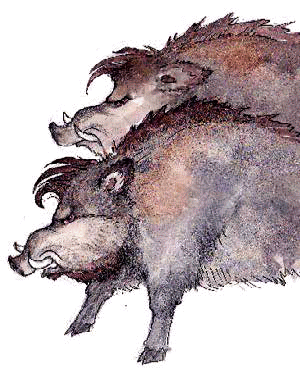 Разноцветные приключения Кузи - _059.png