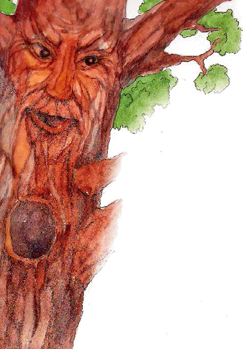 Разноцветные приключения Кузи - _070.png