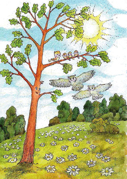 Разноцветные приключения Кузи - _080.png