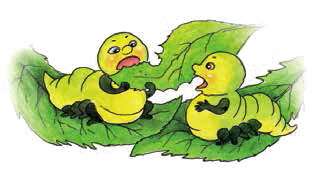 Разноцветные приключения Кузи - _197.png