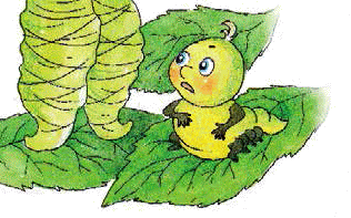 Разноцветные приключения Кузи - _198.png