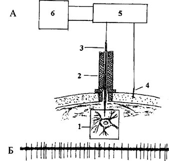 Основы психофизиологии - Александров Ю.И. (ред.) - image003.jpg