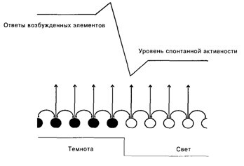 Основы психофизиологии - Александров Ю.И. (ред.) - image013.jpg