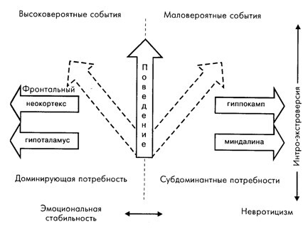 Основы психофизиологии - Александров Ю.И. (ред.) - image033.jpg