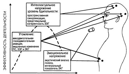 Основы психофизиологии - Александров Ю.И. (ред.) - image038.jpg