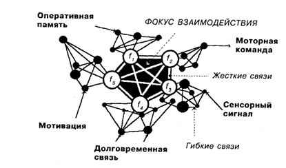 Основы психофизиологии - Александров Ю.И. (ред.) - image045.jpg
