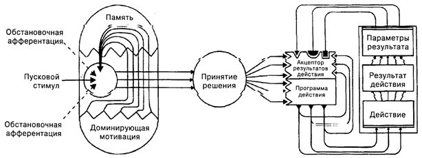Основы психофизиологии - Александров Ю.И. (ред.) - image055.jpg