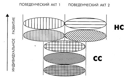 Основы психофизиологии - Александров Ю.И. (ред.) - image058.jpg