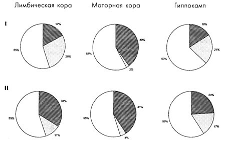 Основы психофизиологии - Александров Ю.И. (ред.) - image059.jpg