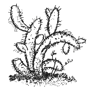Мануш-Вартуш (повести и рассказы) - _00kopija.png_14
