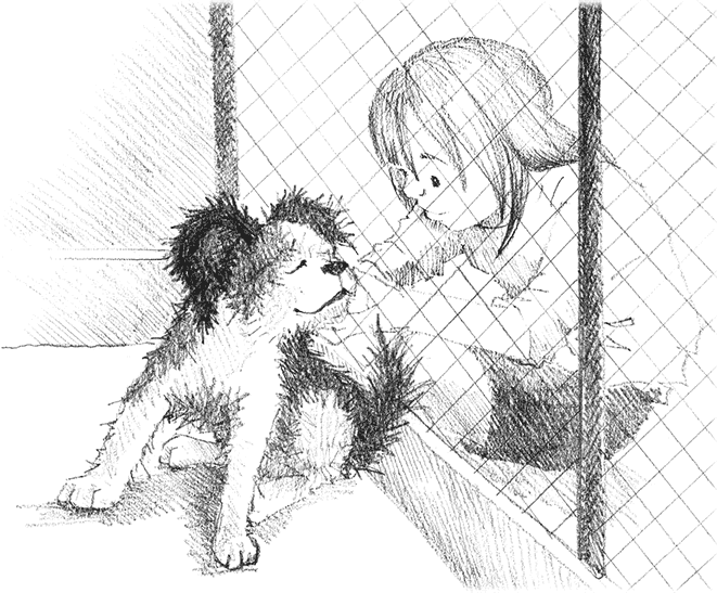 Щенок Сид, или Лучший трюк - i_008.png